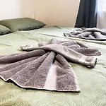 Zborovska 22 A Appartement Plzeň