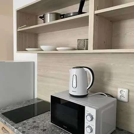 Apartment Zborovska 22 A Plzen