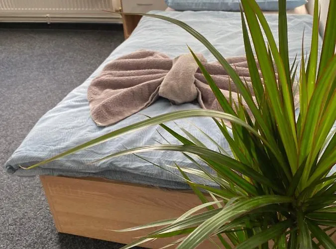 Daire Zborovska 22 A Plzeň