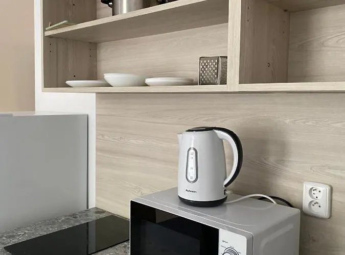 Daire Zborovska 22 A Plzeň