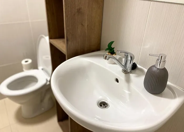 Zborovska 22 A Daire Plzeň